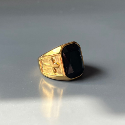 ANILLO PAULA