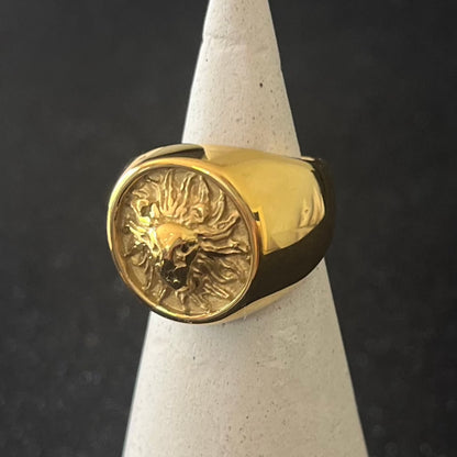 ANILLO LEON