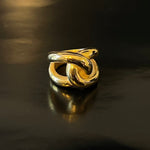 ANILLO INFINITO I