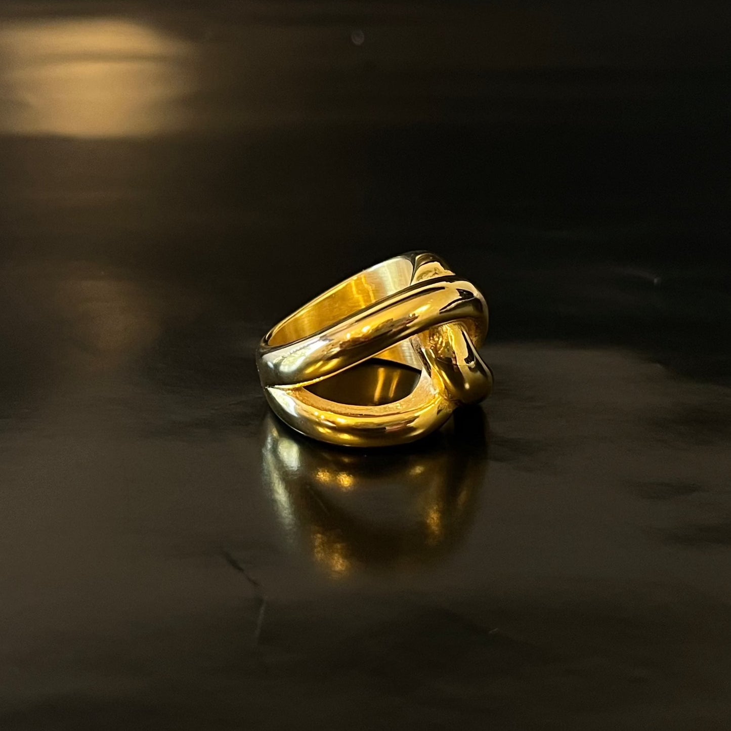 ANILLO INFINITO I