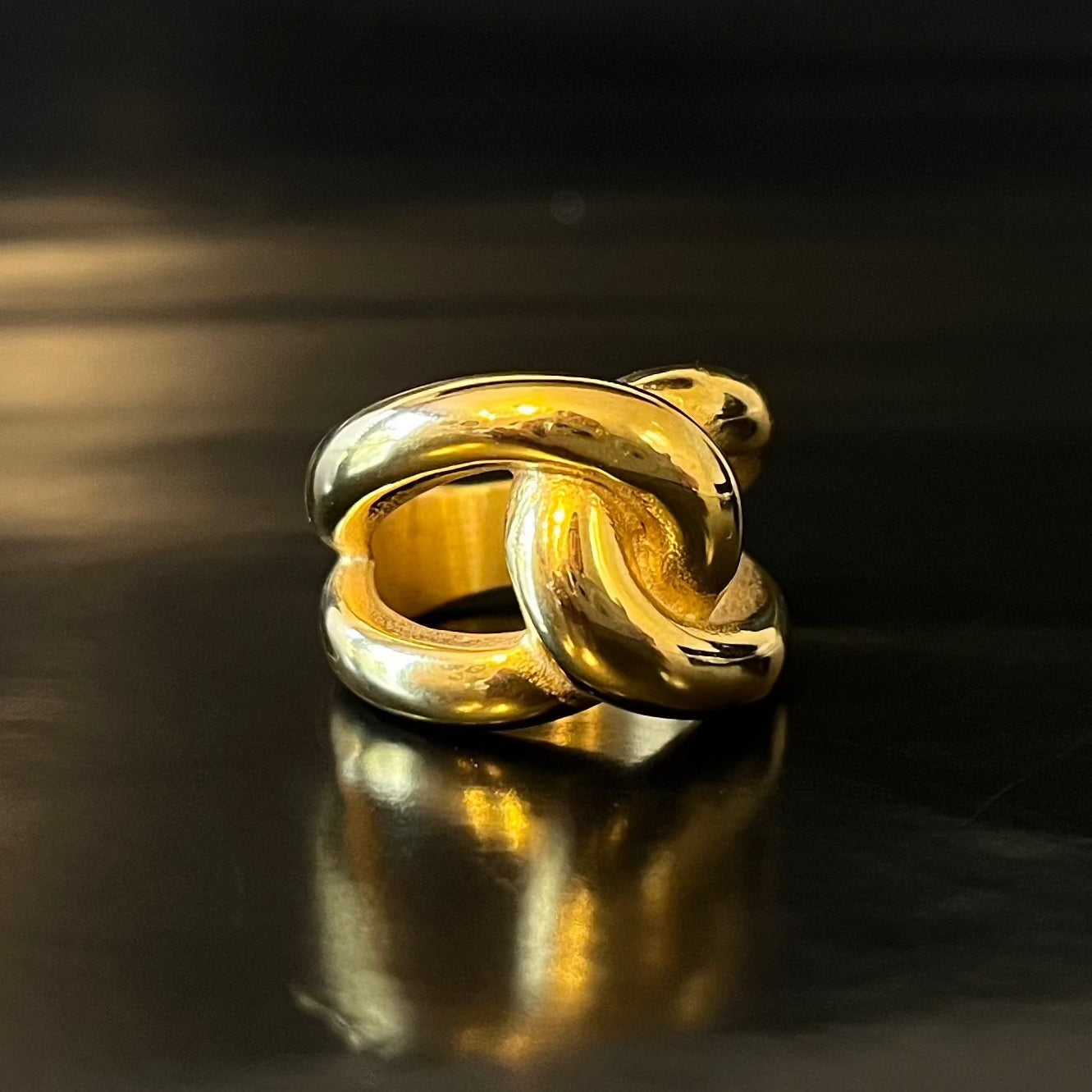 ANILLO INFINITO I