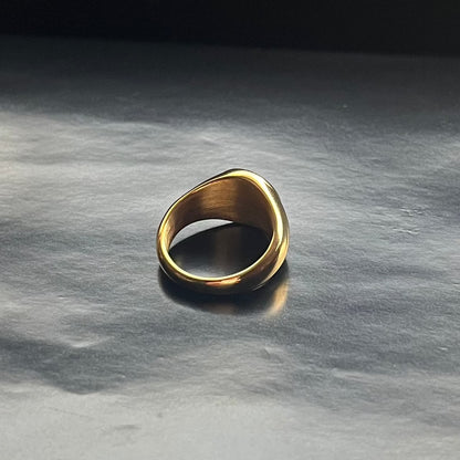 ANILLO SELLO LUZ