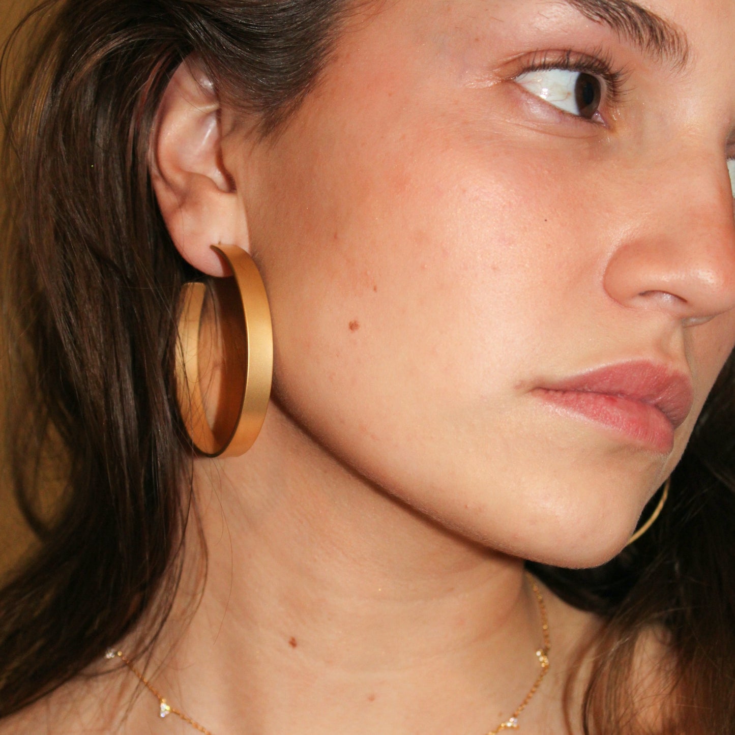 AROS VENECIA