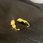 AROS PUMA