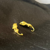 AROS PUMA
